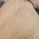 별내동17통(동익미라벨39단지) | 남양주 별내 와이뷰라인에서 알라딘필링 등관리 받았어요