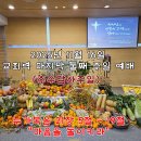 2025년 11월 16일 교회력 마지막 둘째 주일 예배 이미지