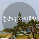 충주 중앙탑 사적공원 후기 | 아이와 가기 좋은 충주 여행 필수코스