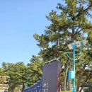 정귀자 | 거제여행 2박3일, 인천한마음신협 조합원여행