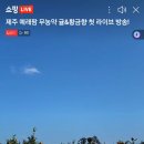 창전농장 | LIVE 제주237 예래팜 라이브커머스 방송후기