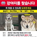 지해농장 경향신문