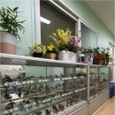 삼송로 205번길 이미지