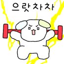 태권도상무체육관 네이버블로그