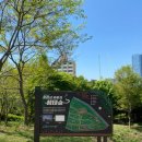 황령산유원지 생태숲 | 황령산 등산코스 추천, 황령산유원지생태숲에서 시작하는 숨은 루트 공개