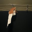 칠봉 화장실 이미지