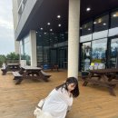 [제주 여행] 4년만에 다녀온 2박3일 제주여행🌴(경비,일정)