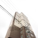 제니스17차 이미지