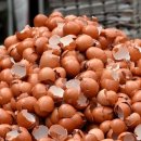 서도농장 이미지