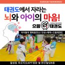으뜸1태권도 이미지