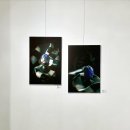 콜드라이 이미지