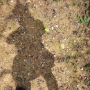 뚜레쥬르부산남천점 이미지