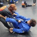 대일 합기도 체육관 이미지