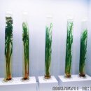 왕골공예가는길 이미지