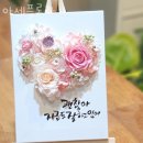 아세플로라