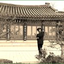 바다엔소나무 이미지