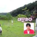 나는 SOLO 23기 자기소개 나이 학력 직업 회사 총정리 - 영수 영호 영식 영철 광수 상철 순자 영자 정숙...