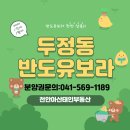 태인부동산중개 이미지