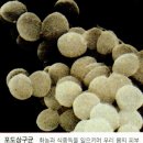 남대문안경콘택트 이미지