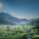 인문예술연구원(춤추는별) | [일주별 MBTI 진로] 4탄. 정묘(丁卯)일주 아이: 달빛 아래 춤추는 영리한 토끼, INFJ 혹은 ENFP?