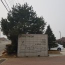 망고그린 이미지