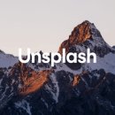 디자인치트키 이미지