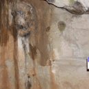 혜정목장 이미지