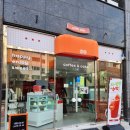 진작에와볼껄 이미지