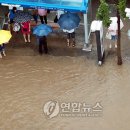 봉암동205 이미지