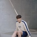 스테디스포츠