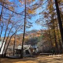 FoRest(숲&amp;휴식) | 평창 휘게포레스트 #2. 11월의 휘게(숲속-A20) 2박 3일
