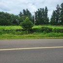 제주푸르지오공인중개사사무소 이미지