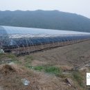 오가네 농장 이미지