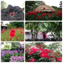 순아민속촌 | 제주여행- 제주 민속촌