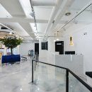 궁전애견 이미지