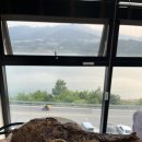 더일리있는펜션 이미지