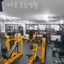 슬기로운 운동생활 이미지