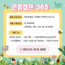 곤충연구소 실내 이미지