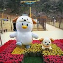 댕댕테이블 | 김해댕댕파크 이용 방법, 주차 | 무료 애견 운동장