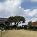 제주기와 [<b>제주</b>] <b>제주</b> 애월 애견 동반 브런치 카페 <b>제주</b><b>기와</b>