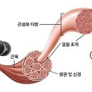 헬스story 네이버블로그