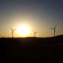 팀 팻보이 이미지