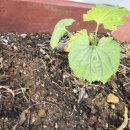 성환농약사 이미지