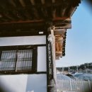 강아지 멋내기 | 🐾 영흥도 전통 한옥 독채 애견펜션 ‘보경재’ 다녀왔어요 🏡