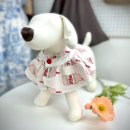 [국비_내일배움카드] 11/6 애견옷 & 소품제작 | [국민내일배움카드/국비지원] 11/18(월) 애견패션 개강 안내🐶🐱💚