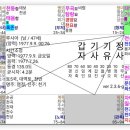 자미성 이미지