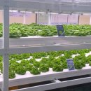 해피건강팜 이미지