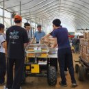 안성시농업기술센터 이미지