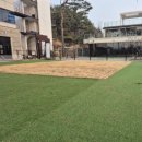 풍경운동장 | 천안 목천 대형카페 까치카페, 반려견 전용 운동장 실사용 후기