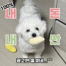 (주)레이월드 | 쁘띠라뺑 올리비아 침대 후기 / 견적 공유 / 분해 및...침대 / 데이베드 / 하로월드 강동점 / 아기침대추천